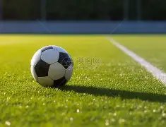 黑龙江队斩,获冰雪混双,赛事金牌,皇冠体育app下载,皇冠体育官网,澳门皇冠体育,bet皇冠体育在线