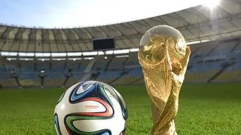 黑龙江队斩获冰雪混双赛事金牌